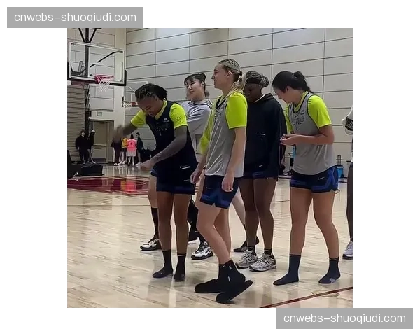 WNBA与多家球鞋品牌进行集体谈判，旨在为更多球员争取签名鞋款